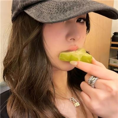 动物宝宝